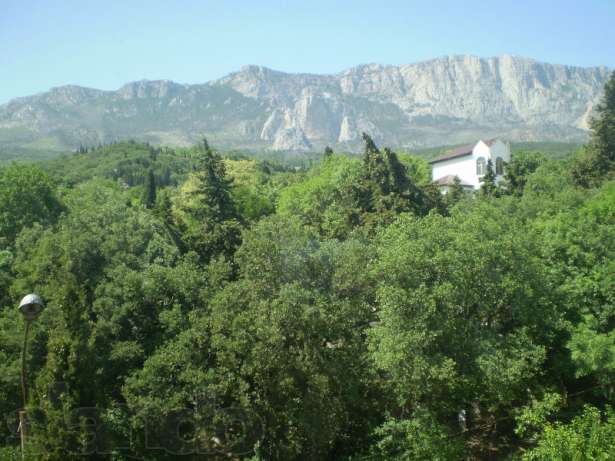 Фото квартиры 1