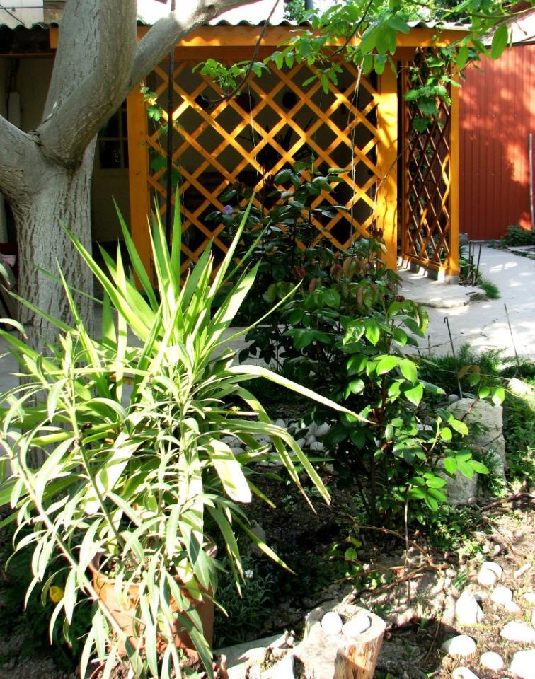 Фото квартиры 2