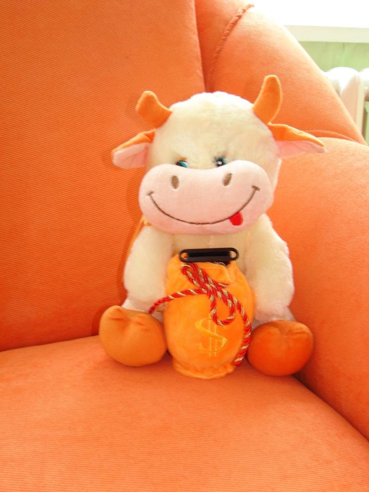 Фото квартиры 7