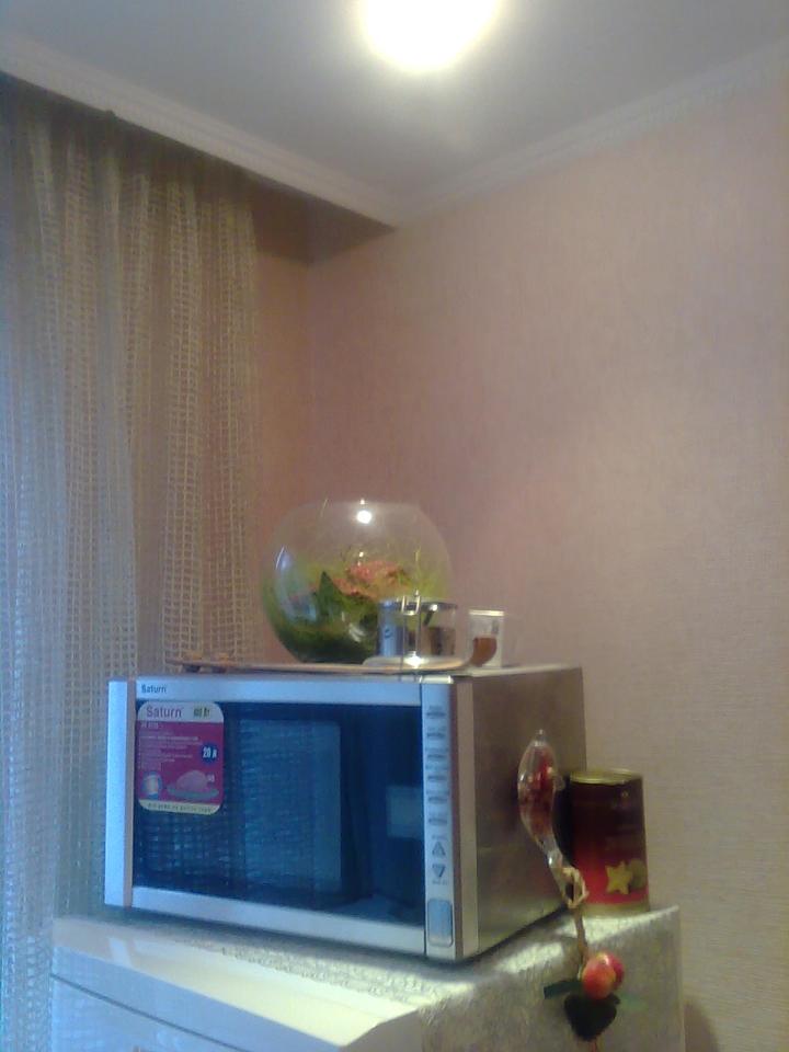 Фото квартиры 7