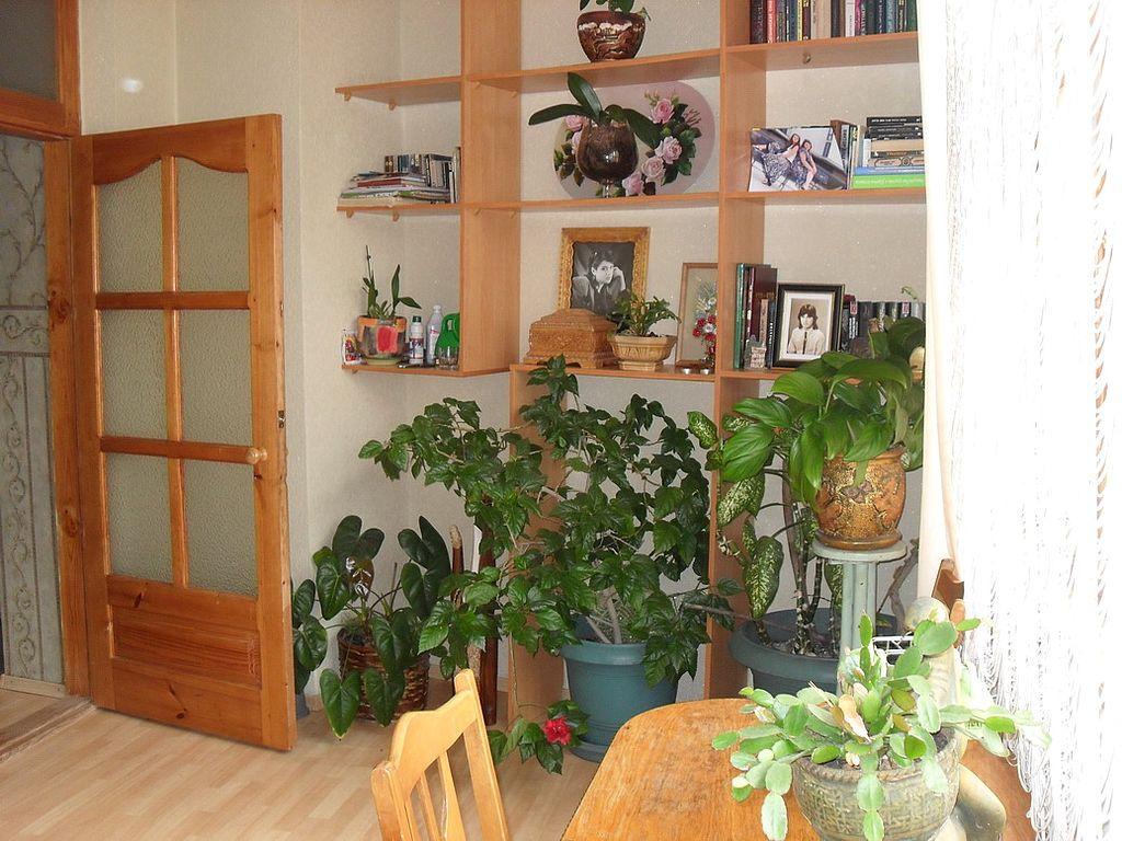 Фото квартиры 11