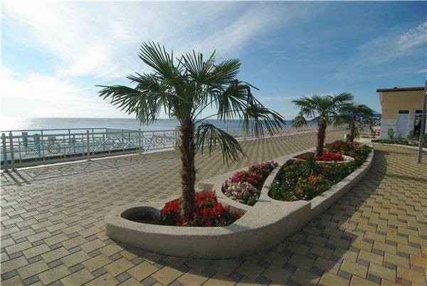 Фото квартиры 8