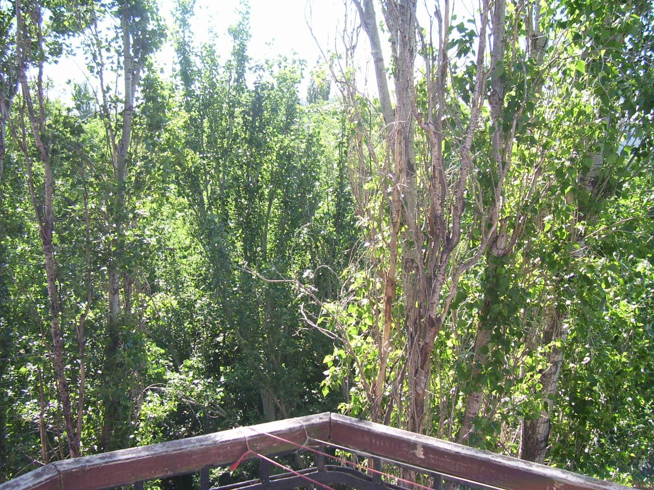 Фото квартиры 6