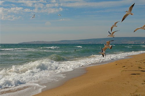 Фото квартиры 11