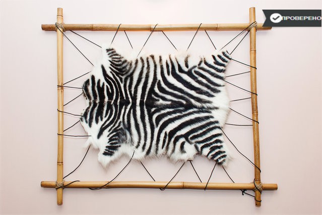 Фото квартиры 4