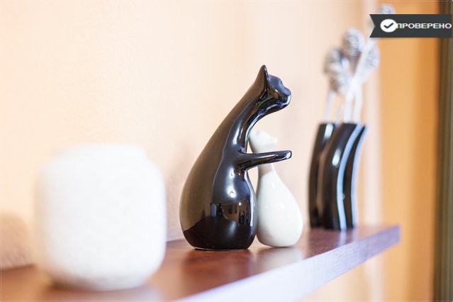 Фото квартиры 5