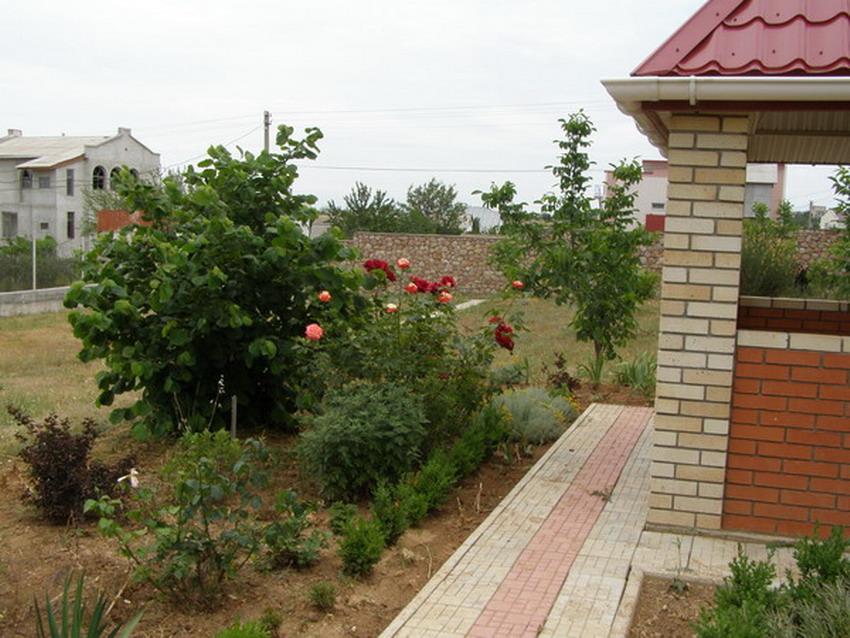 Фото квартиры 10