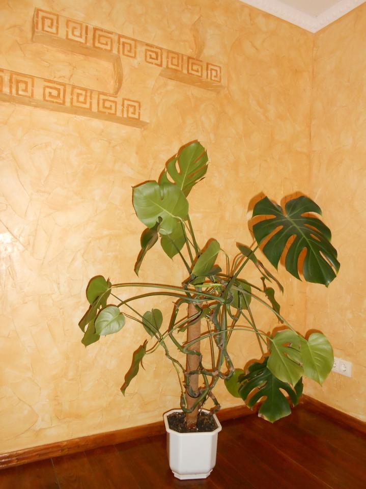 Фото квартиры 5