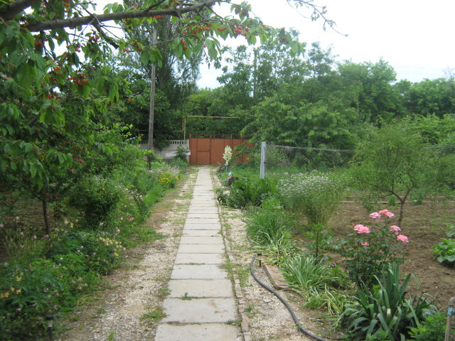 Фото квартиры 10