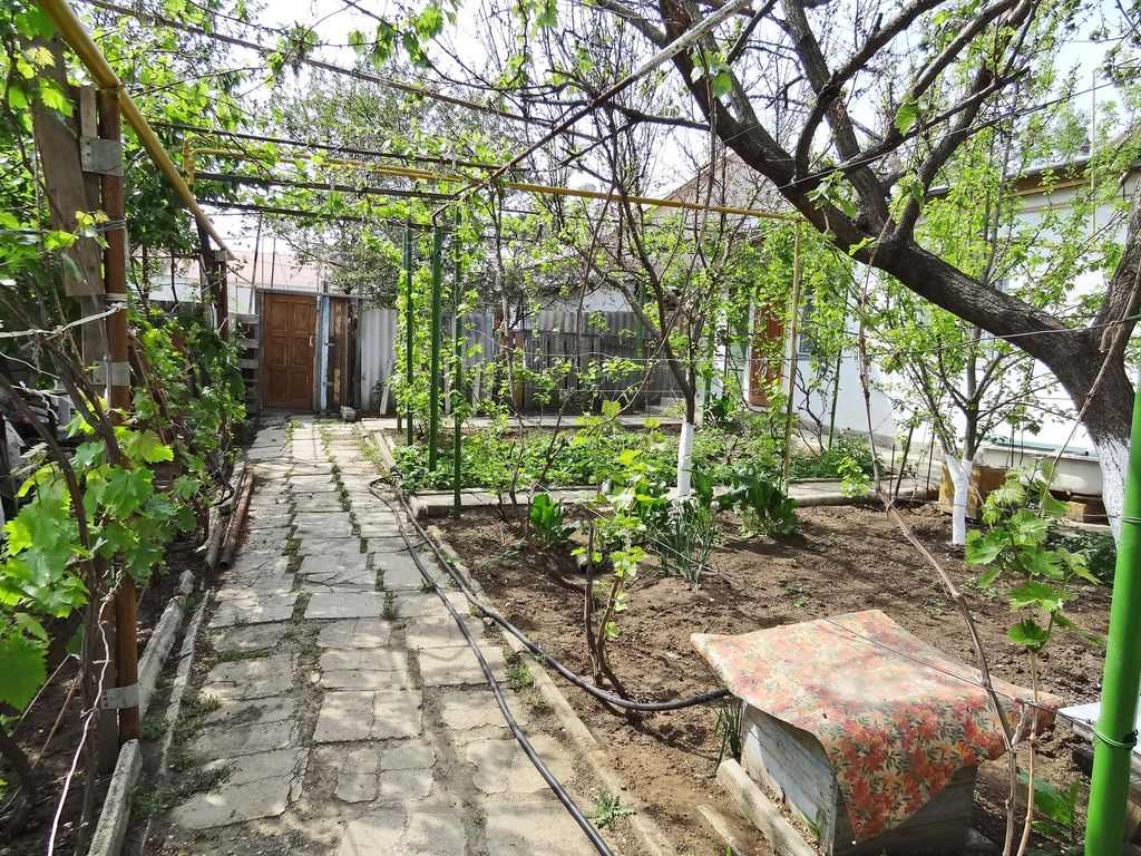 Фото квартиры 3