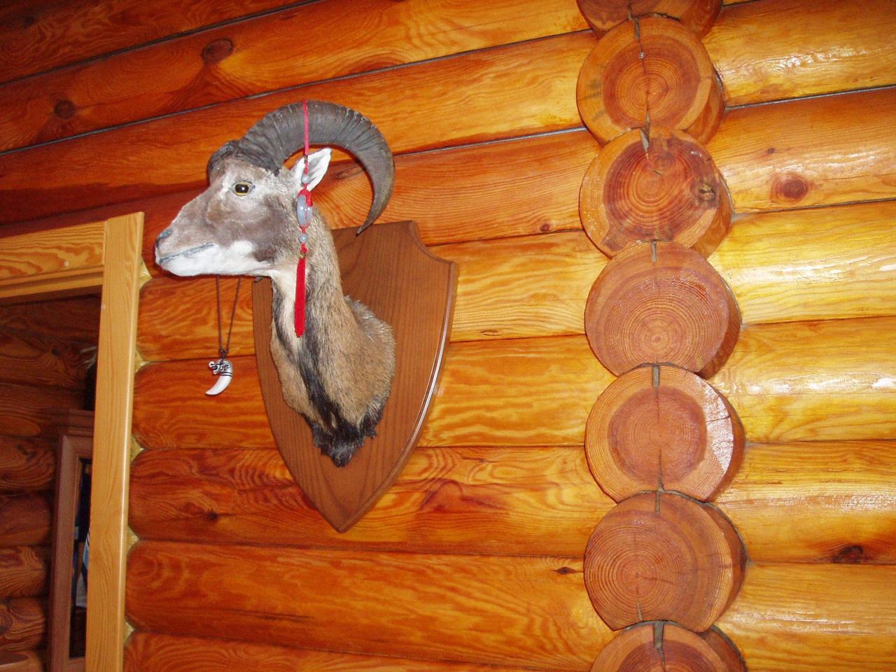 Фото квартиры 21