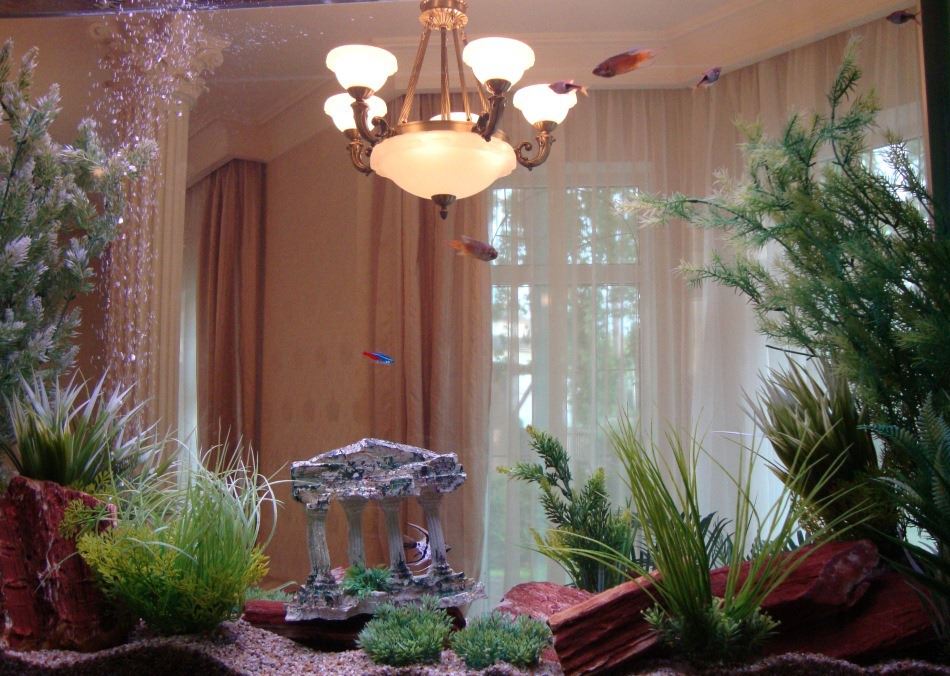 Фото квартиры 8