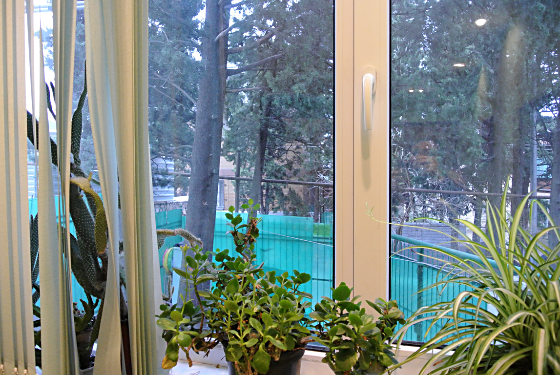 Фото квартиры 15