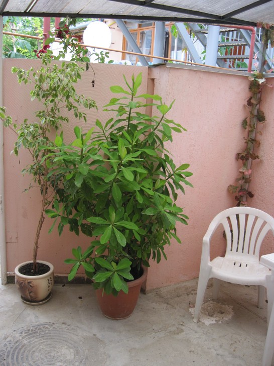 Фото квартиры 3