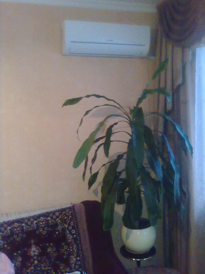 Фото квартиры 15