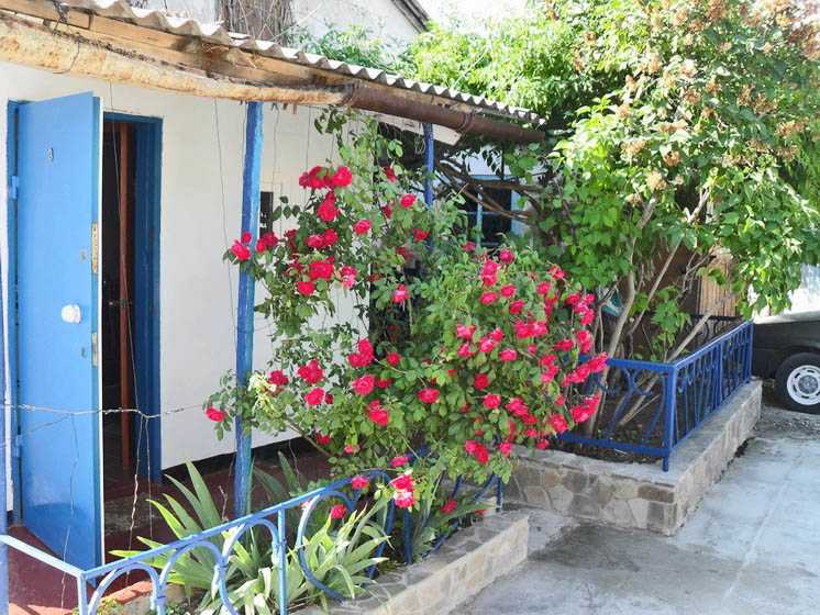 Фото квартиры 1