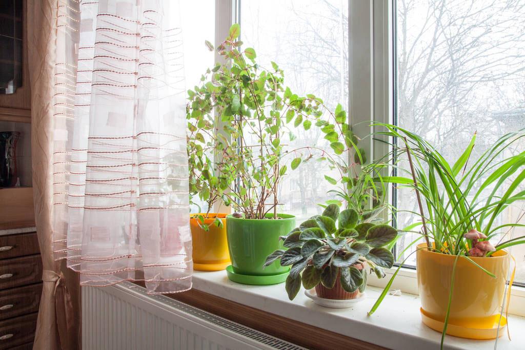 Фото квартиры 6