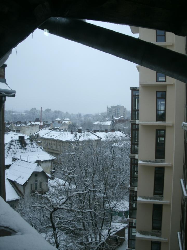 Фото квартиры 11