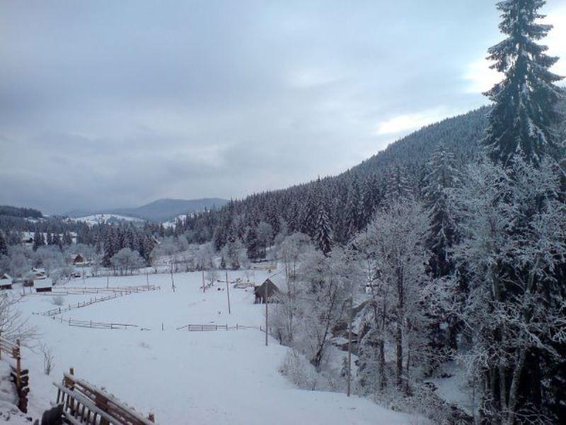 Фото квартиры 14