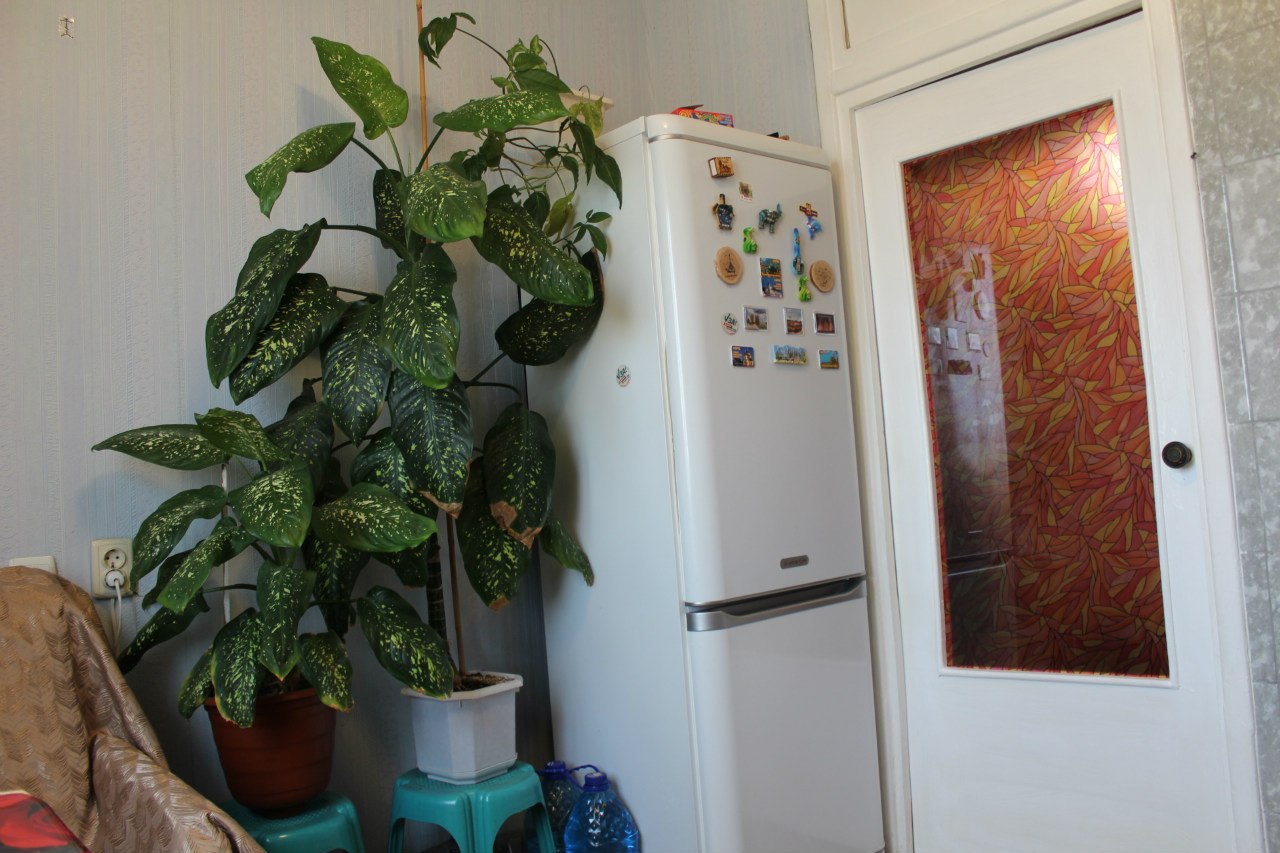 Фото квартиры 8