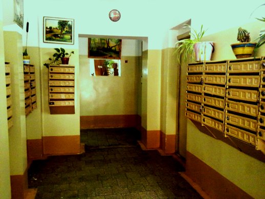 Фото квартиры 10