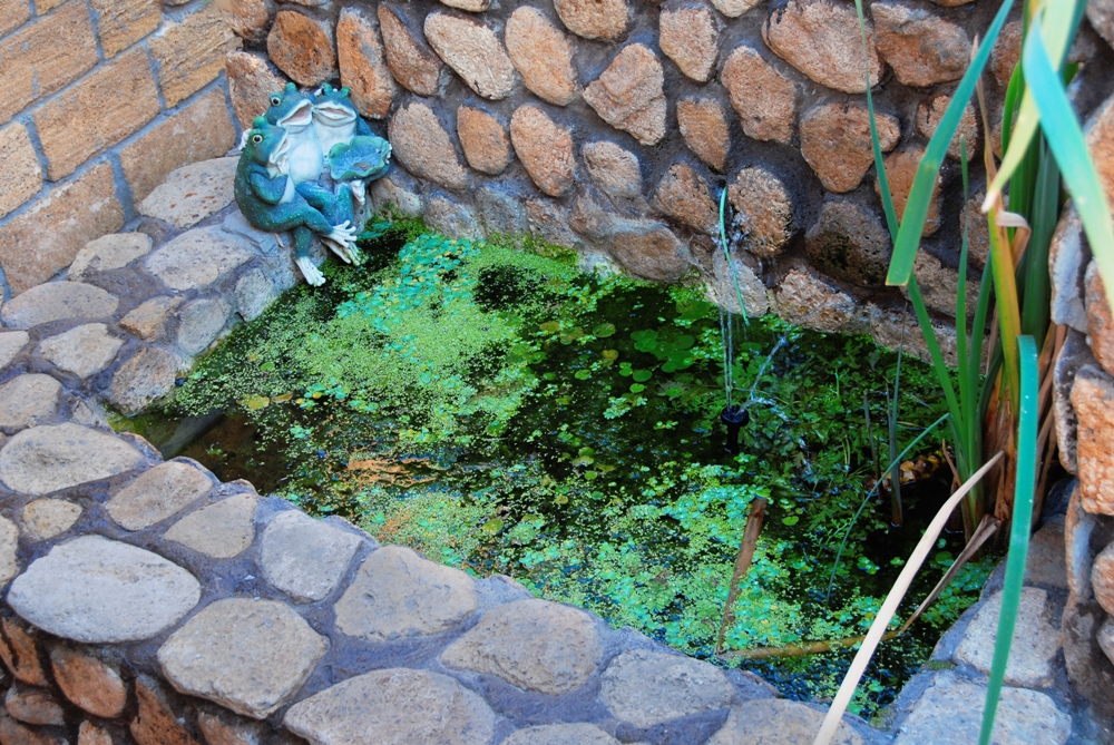 Фото квартиры 14