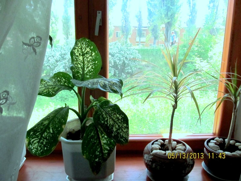 Фото квартиры 5