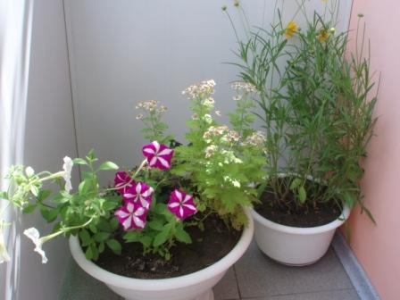 Фото квартиры 9