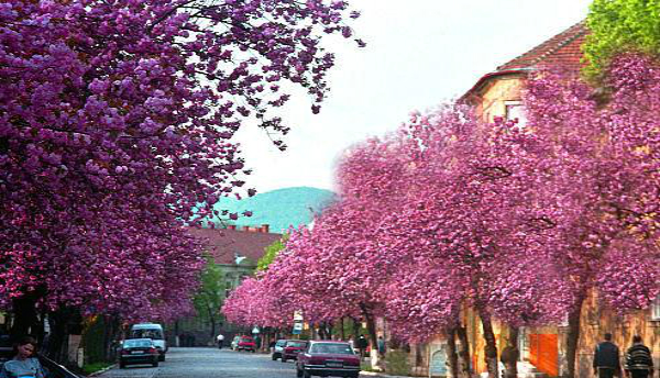 Фото квартиры 1