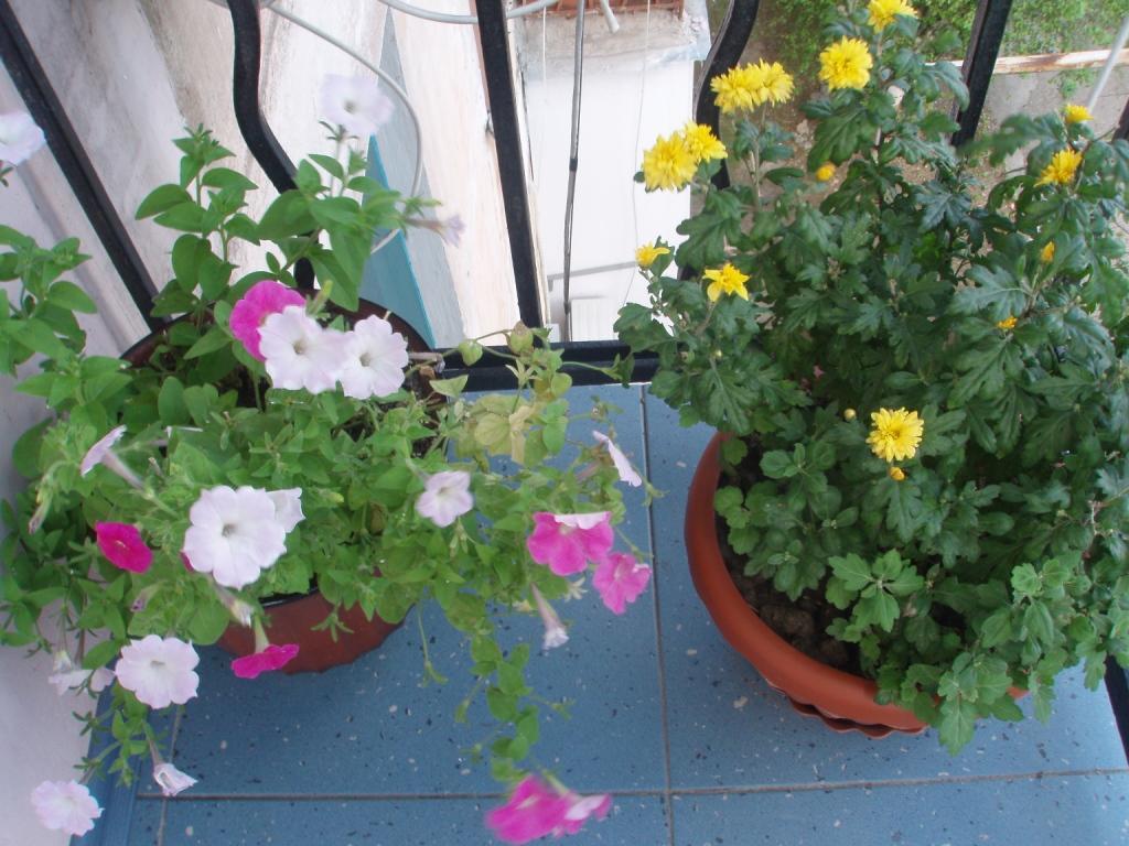 Фото квартиры 6