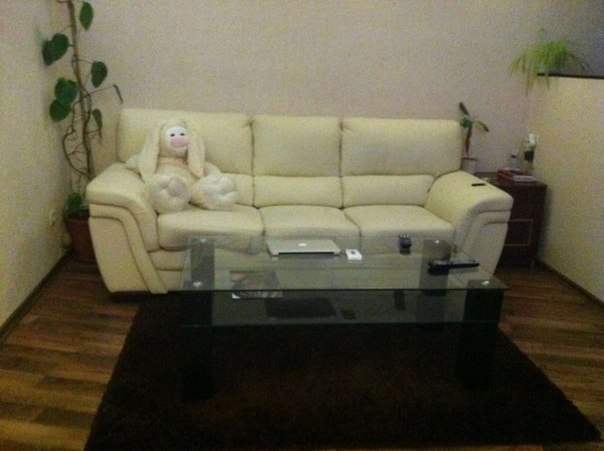 Фото квартиры 6