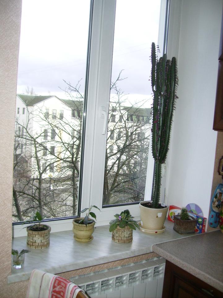 Фото квартиры 2