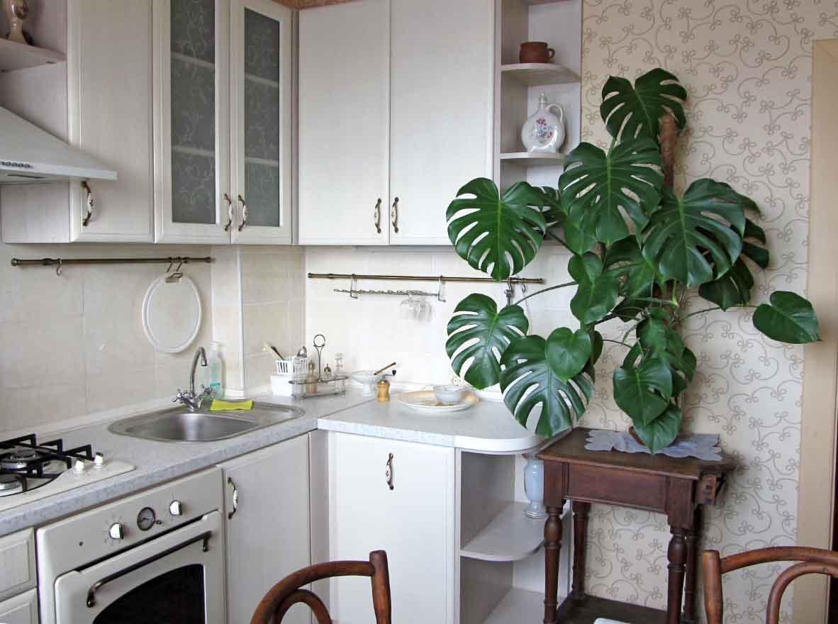 Фото квартиры 3