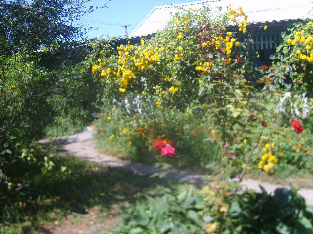 Фото квартиры 2