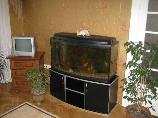 Фото квартиры 2