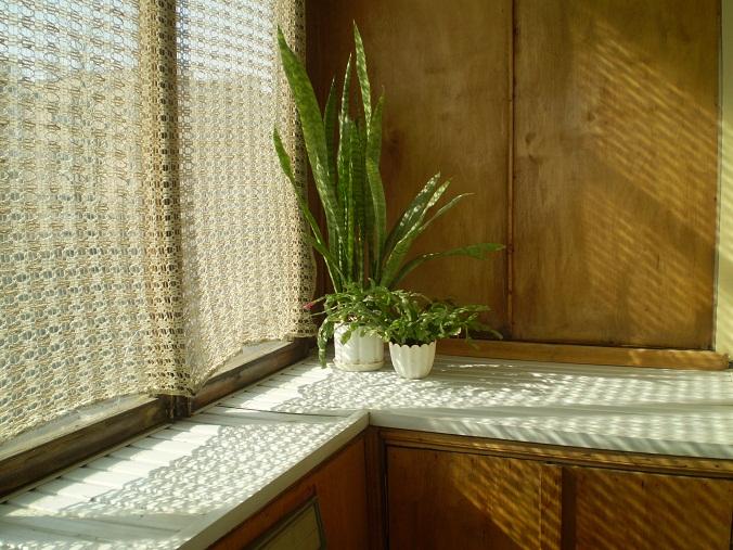 Фото квартиры 6