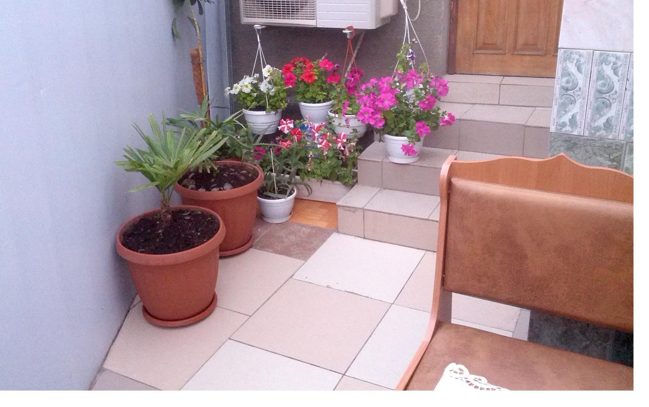 Фото квартиры 6