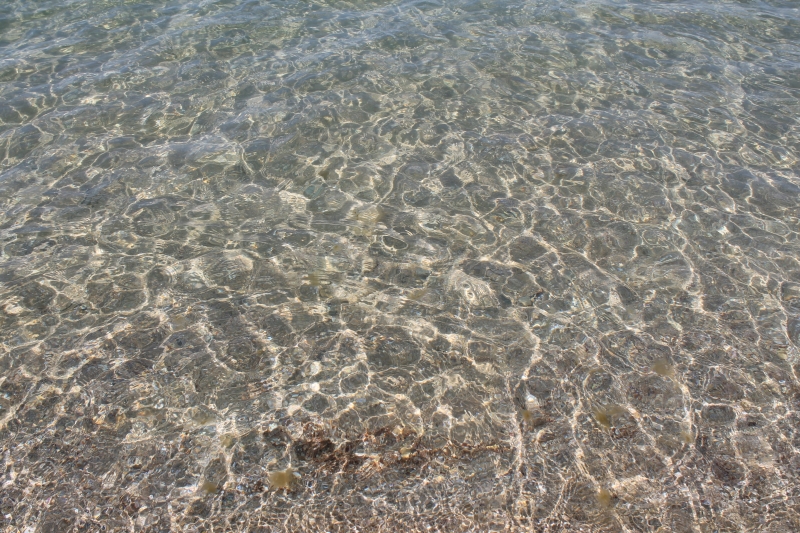 Фото квартиры 13