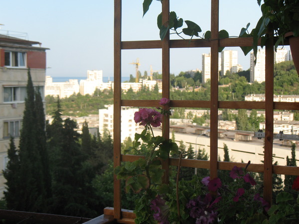 Фото квартиры 3