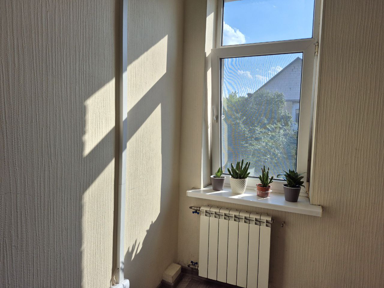 Фото квартиры 11