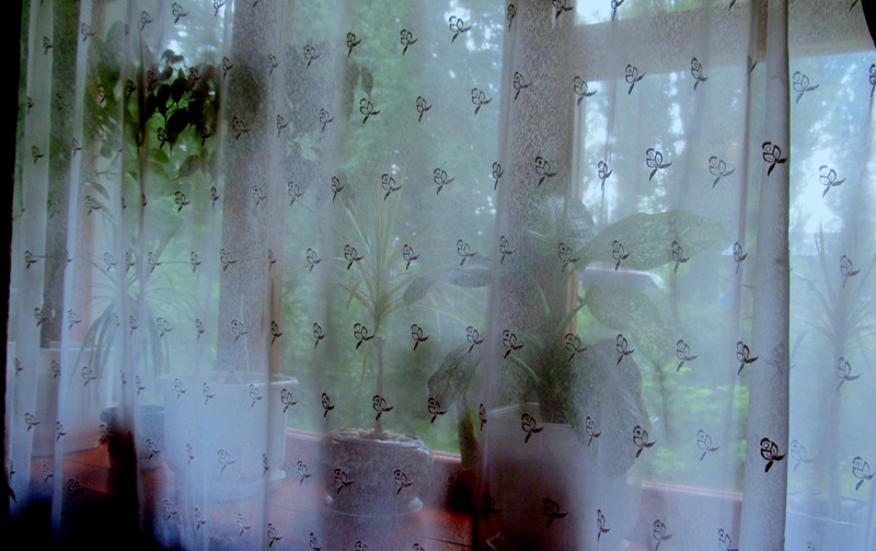 Фото квартиры 12