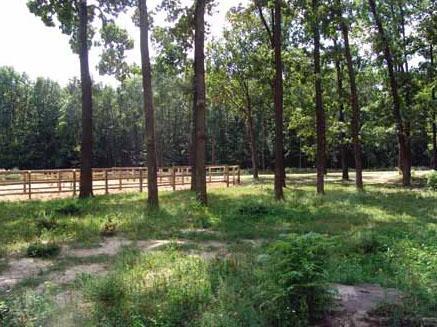 Фото квартиры 5