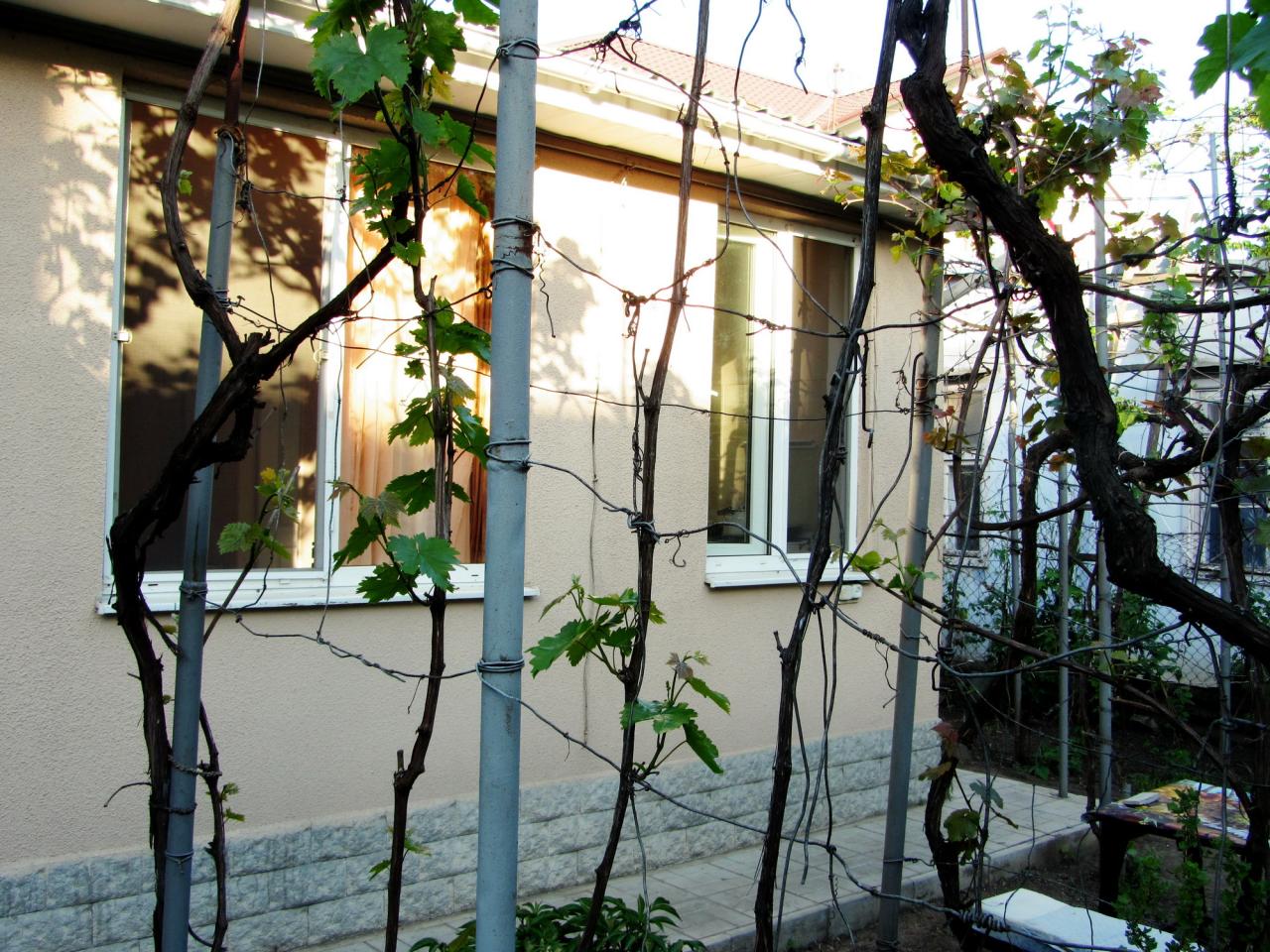 Фото квартиры 3