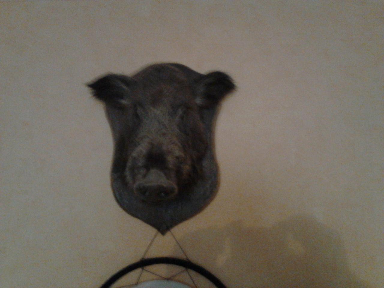 Фото квартиры 6