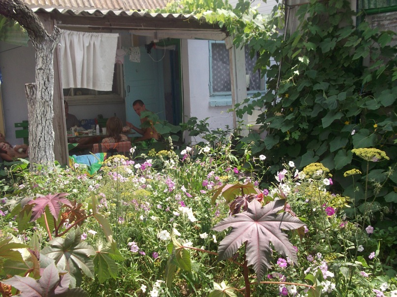 Фото квартиры 2