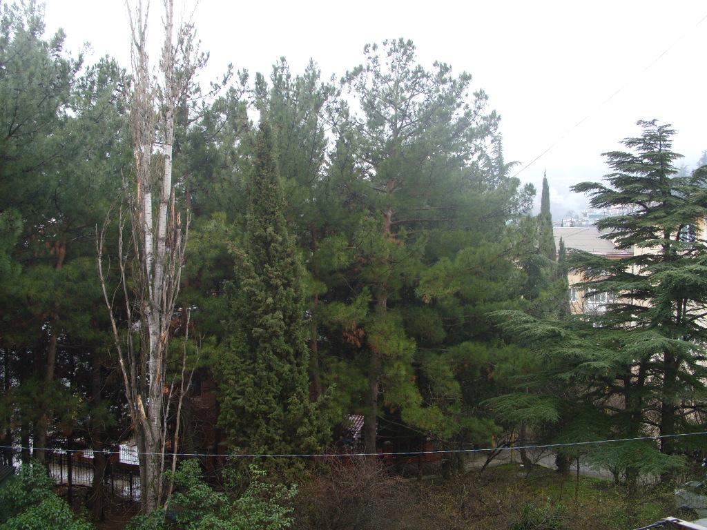 Фото квартиры 6