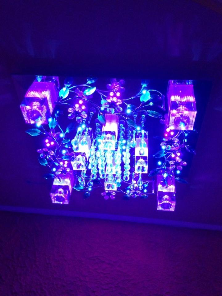 Фото квартиры 12