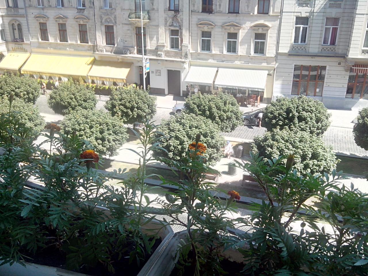 Фото квартиры 11