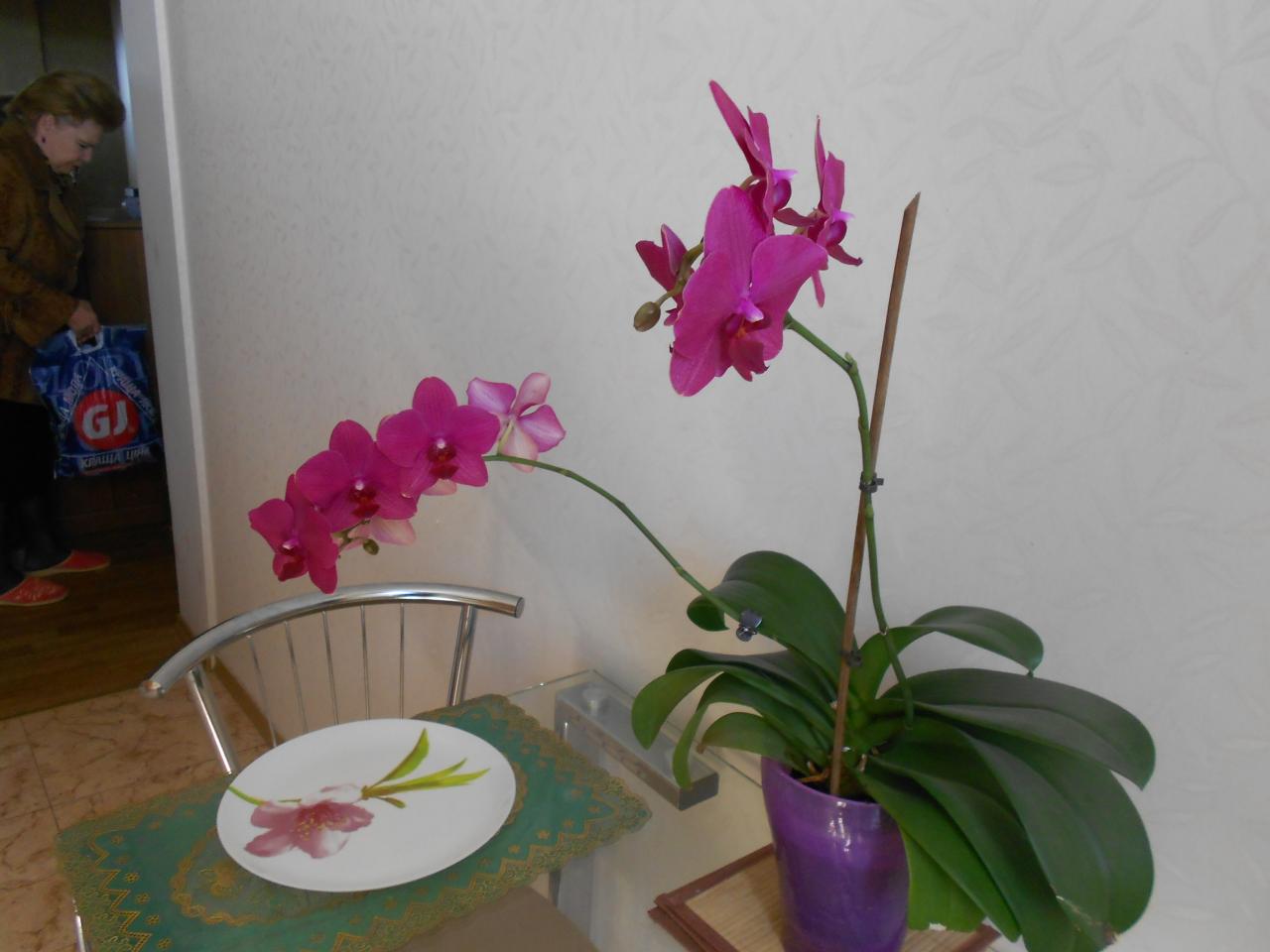 Фото квартиры 2