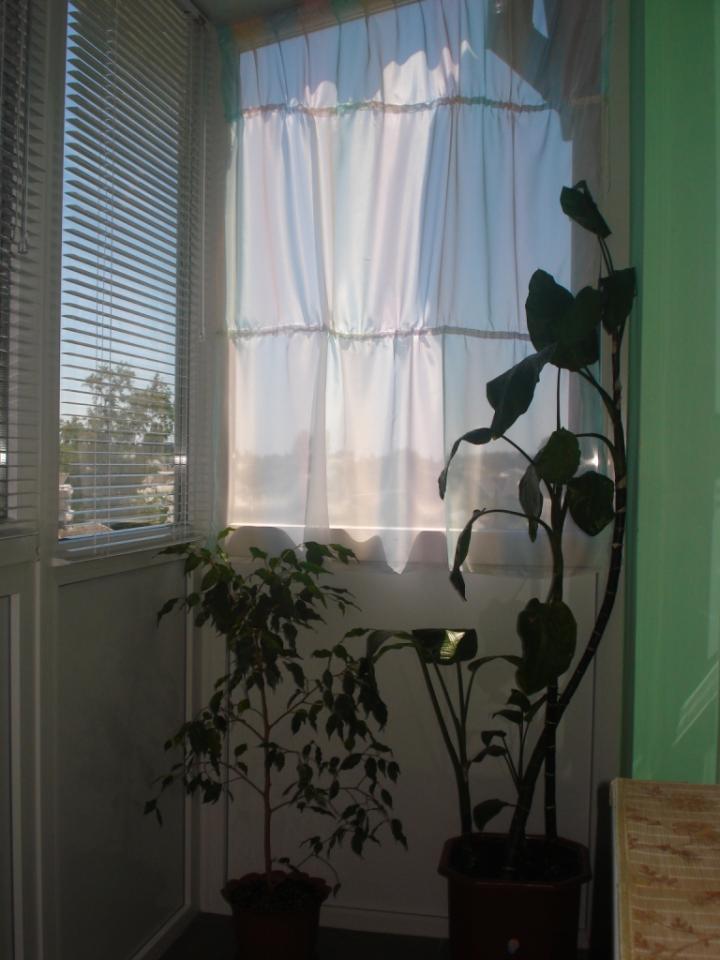 Фото квартиры 4